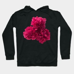 Hot Pink Peony Trio Close-up Hoodie